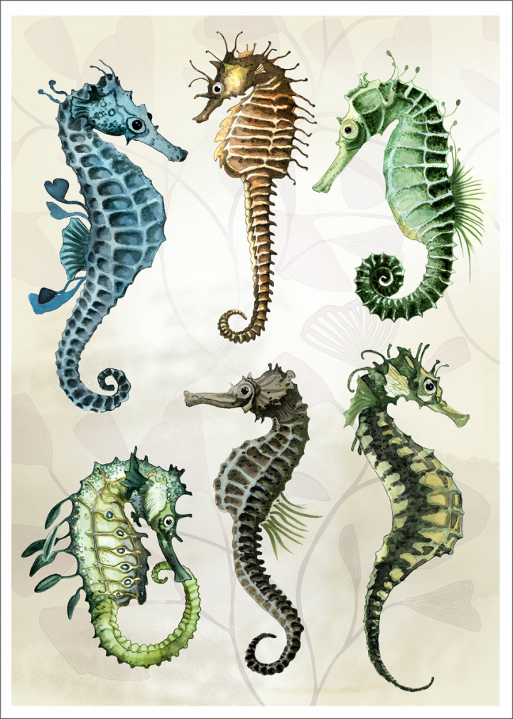 Seahorses in the group Gallery / Gifts / at NOA Gallery (100012_20)