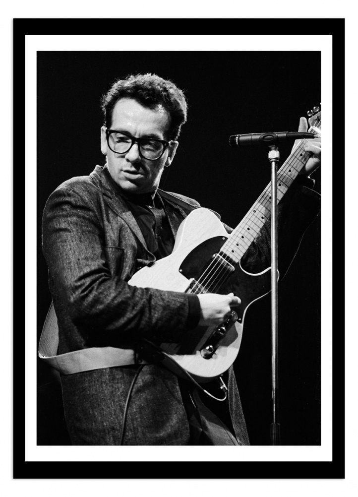 Elvis Costello Roskildefestivalen 1986 in the group Gallery / Photography / Bilder i Syd at NOA Gallery (100053_543)