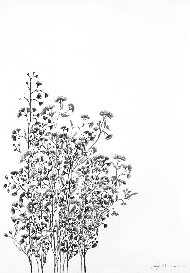 Bloom nr 11 in the group Gallery / Techniques / Drawing at NOA Gallery (100167_2676)