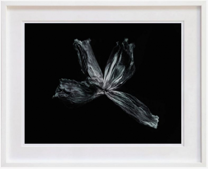Ballet leaf 2 in the group Gallery / Photography / Photo art at NOA Gallery (100167_3578)