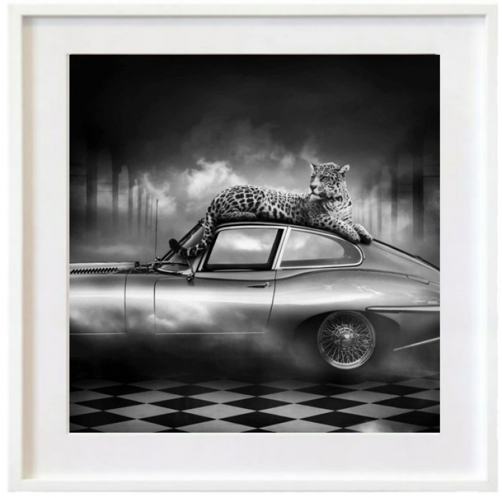 The Jaguar Elegance in the group Gallery / Photography / Legendary photos at NOA Gallery (200239_3980)