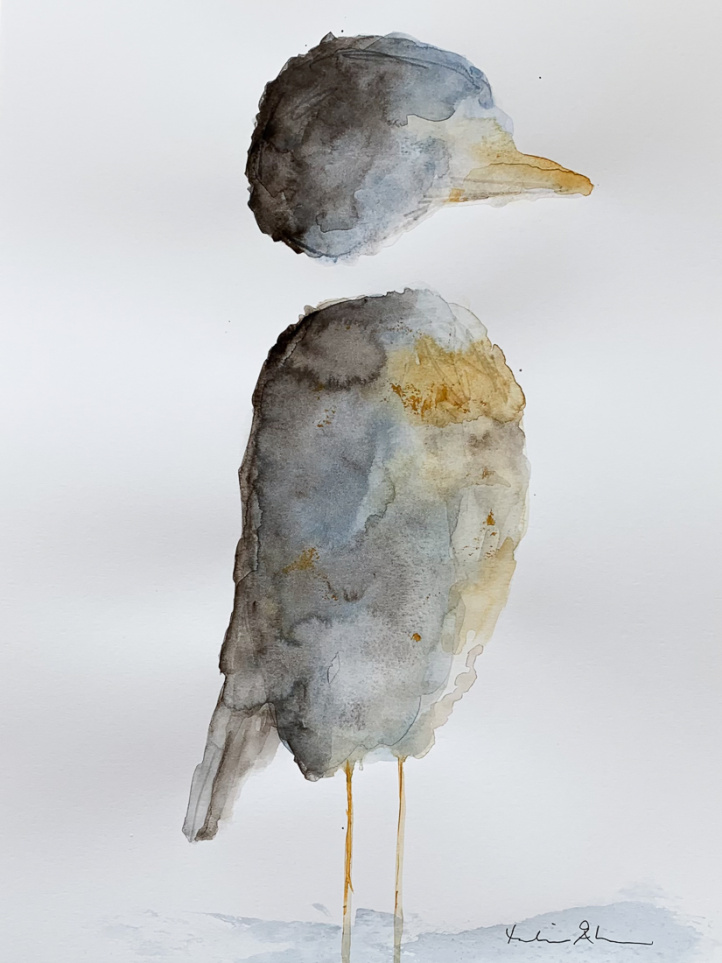  in the group Gallery / Animals & Nature / Birds at NOA Gallery (200299_Rune)